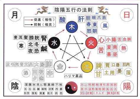 五行健康躁